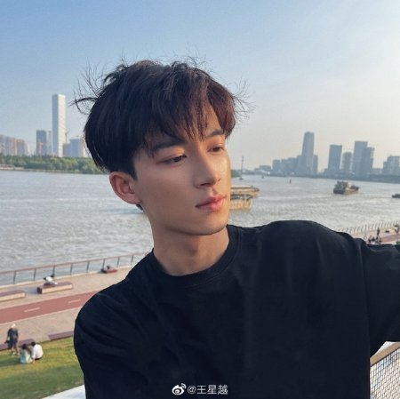 Ван Син Юэ / Wang Xing Yue - биография, фильмография