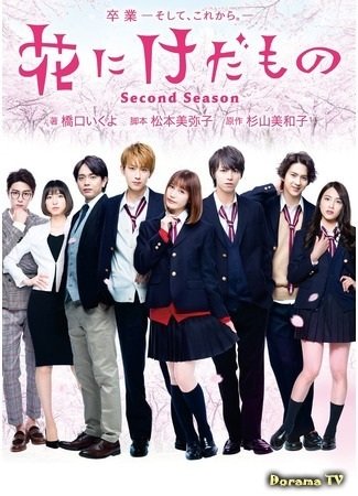 Цветок для зверя 2 (2019)