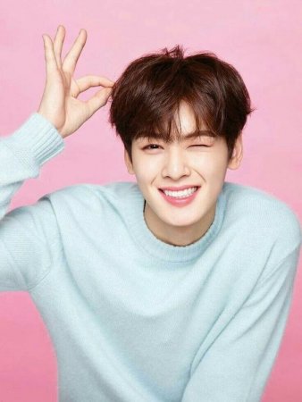 Чха Ын У / Cha Eun Woo